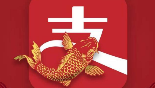 图片6