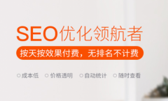 诚速宝：关键词优化与整站优化的区别
