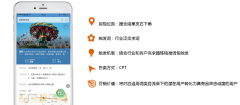 搜索品牌推广搜索非标品牌产品简介